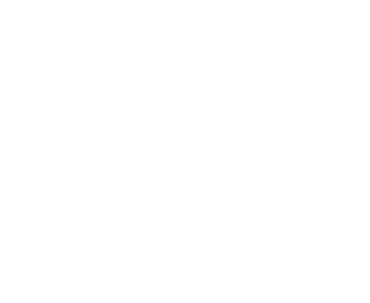Jameel Motors