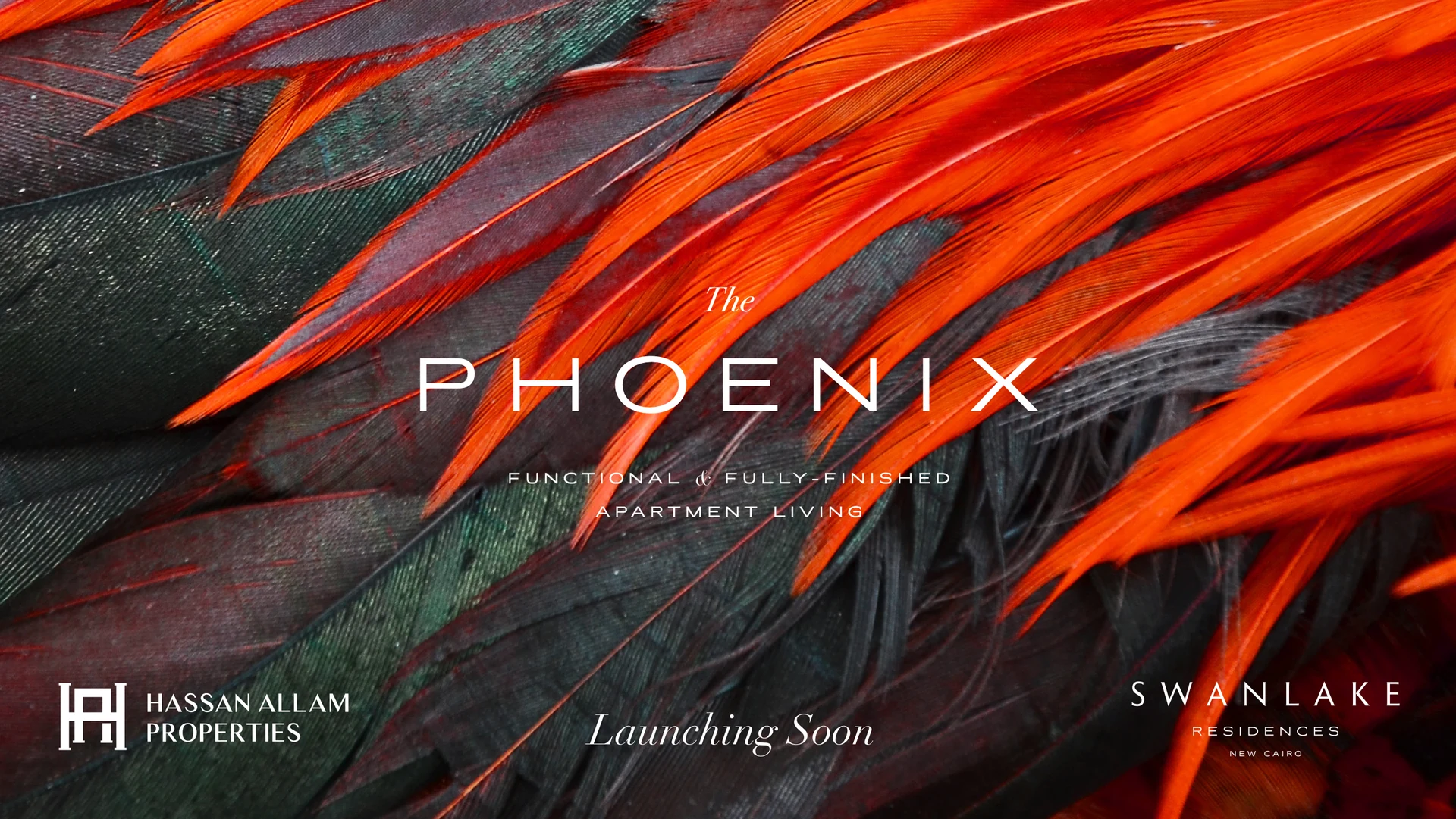 HAP Phoenix — artwork 1